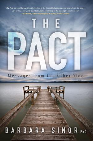 Cover of the book The Pact by Mikel B. Classen