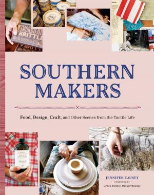 Cover of the book Southern Makers by David Bergman