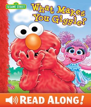 Cover of the book What Makes You Giggle? (Sesame Street Series) by Gina Gold