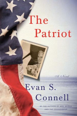 Cover of the book The Patriot by Raymond Mungo, Dana Spiotta