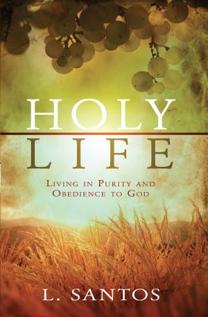 Cover of the book Holy Life by Linda Mintle, Ph.D.