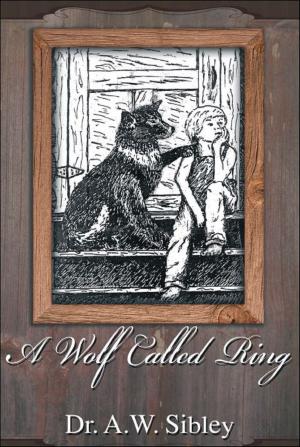 Cover of the book A Wolf called Ring by Daniel Chavez Sr.