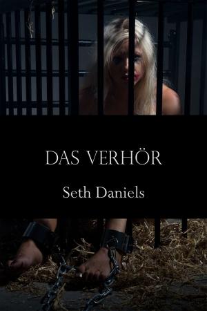 Cover of the book Das Verhör by Camiel Rollins