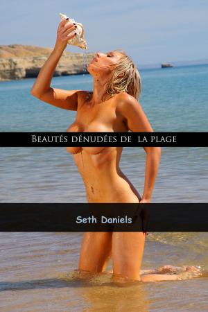 Book cover of Beautés Dénudées à la Plage