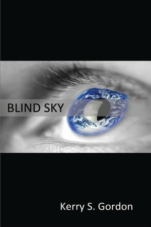 bigCover of the book Blind Sky by 