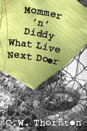 Cover of the book Mommer 'n' Diddy What Live Next Door by Wayne Glenn Terry