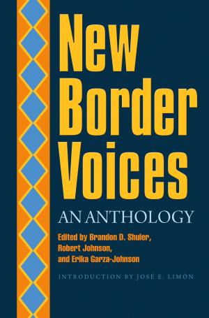 Cover of the book New Border Voices by John T. Becker, Light Townsend Cummins, Alex Hunt, Laegreid M Renee, Porter M. Amy, Jean Stuntz, Brooke Wibrachet