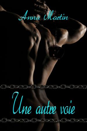 Cover of the book Une autre voie by Chris T. Kat