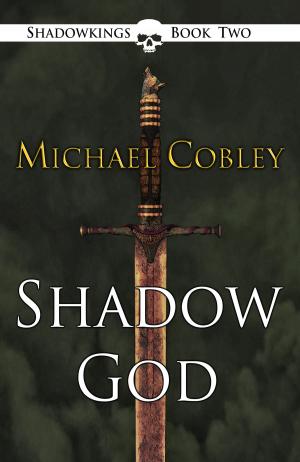 Book cover of Shadowgod