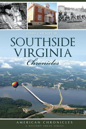 Cover of the book Southside Virginia Chronicles by John Martin Smith