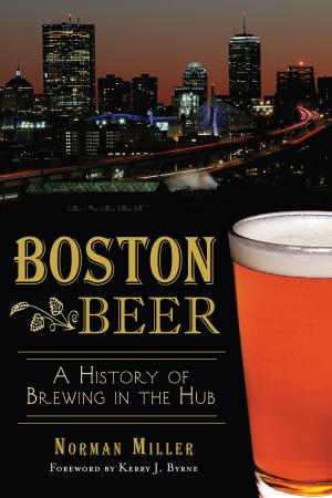 Cover of the book Boston Beer by Gavin Schmitt
