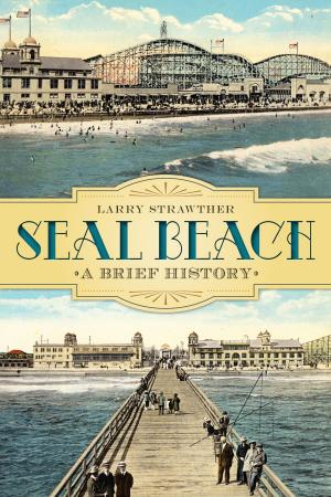 Cover of the book Seal Beach by Michael Morgan