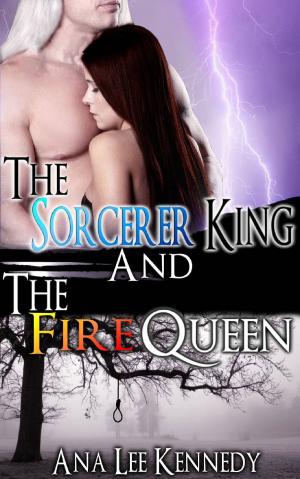 Cover of the book The Sorcerer King and the Fire Queen by Joy Daniels