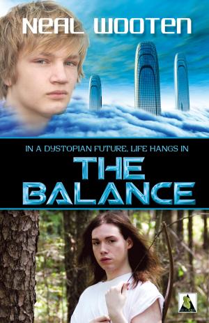 Cover of the book The Balance by Meredith Doench