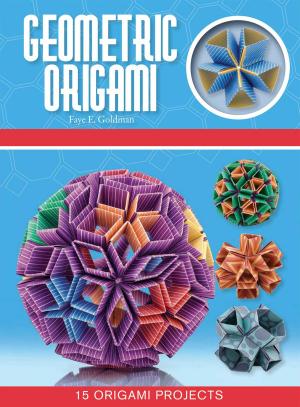 Cover of the book Geometric Origami by Dr. Jamie Roebuck