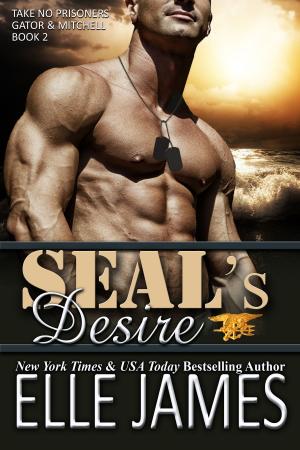 Cover of the book SEAL's Desire by Dj Warner