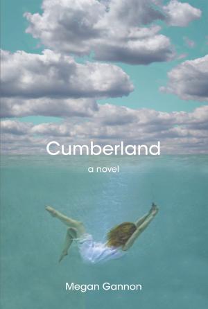Cover of the book Cumberland by Danuta E. Kosk-Kosicka