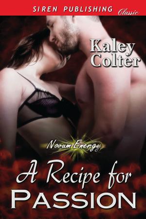 Cover of the book A Recipe for Passion by Heidi Echo