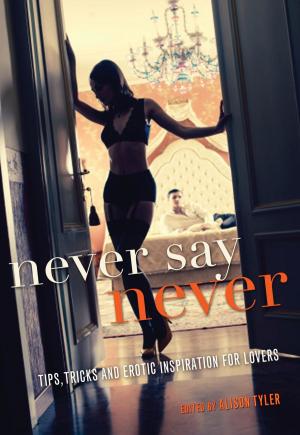Cover of the book Never Say Never by Rachel Kramer Bussel