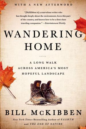 Cover of the book Wandering Home: A Long Walk Across America's Most Hopeful Landscape by Tara Sivec