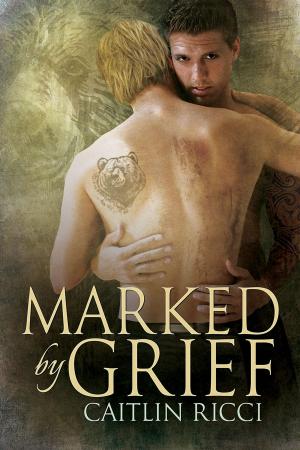 Cover of the book Marked by Grief by M. Jane Colette