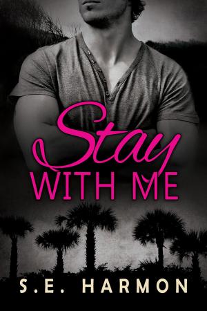 Cover of the book Stay With Me by Aidee Ladnier