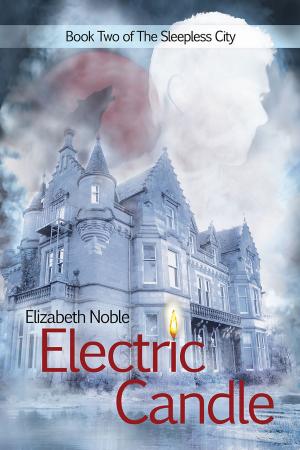 Cover of the book Electric Candle by Marie Sexton