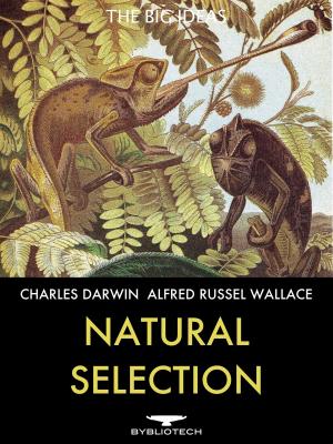 Cover of the book Natural Selection by Leo Tolstoy