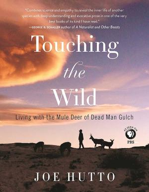 Cover of the book Touching the Wild by Dick Russell