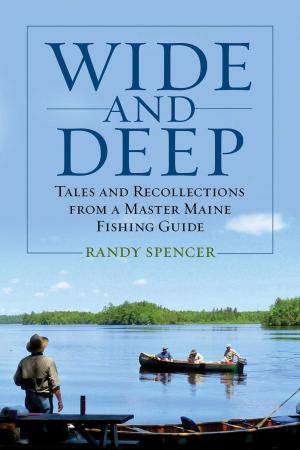 Book cover of Wide and Deep