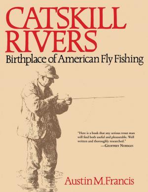 Book cover of Catskill Rivers