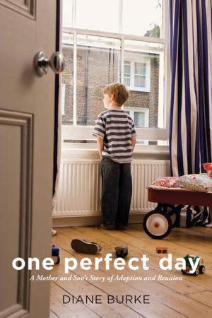 Book cover of One Perfect Day