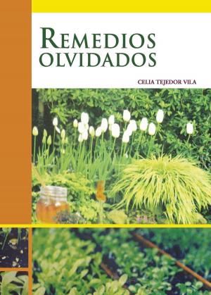 Cover of the book Remedios olvidados by Antonio  Sánchez