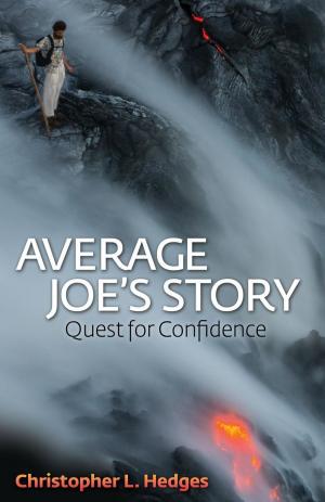 Cover of the book Average Joe's Story by Bethany Marshall, Jessica Burton, Zac Allen, Andres Encinales