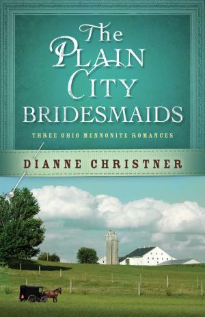 Cover of the book The Plain City Bridesmaids by Wanda E. Brunstetter, Jean Brunstetter, Richelle Brunstetter