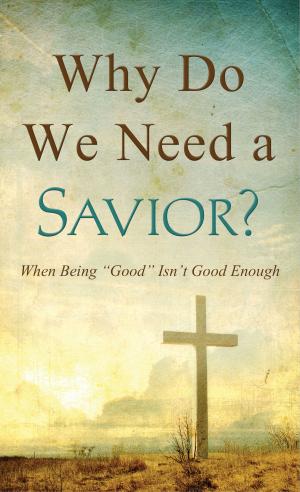 Cover of the book Why Do We Need a Savior? by Wanda E. Brunstetter