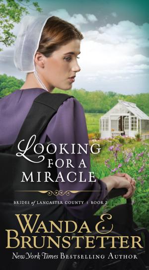 Cover of the book Looking For A Miracle by Nancy J. Farrier