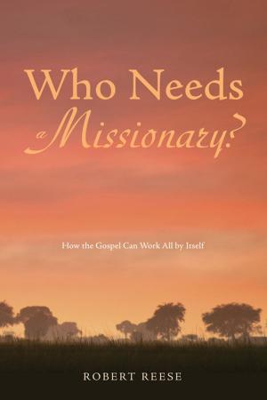 Cover of the book Who Needs a Missionary? by Nicolas Offenstadt
