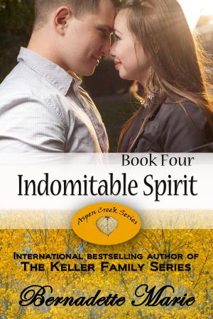Book cover of Indomitable Spirit