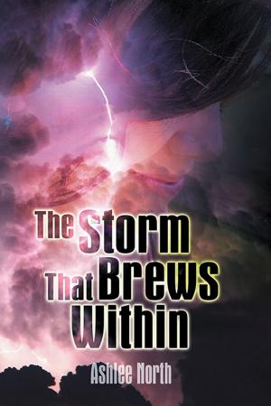 Book cover of The Storm That Brews Within