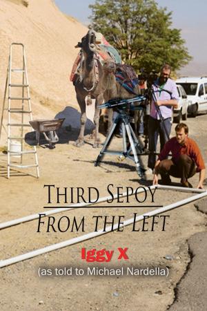 Cover of the book Third Sepoy From the Left by Barbara E Pleasant