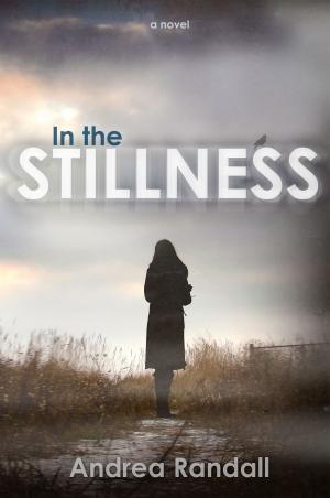 Cover of the book In The Stillness by Irene Zutell