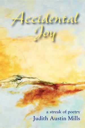 Cover of the book Accidental Joy by Robert Pfeiffer