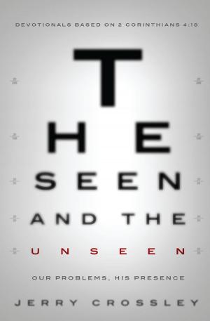 Cover of the book The Seen and the Unseen by David Emechete