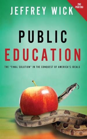 Cover of the book Public Education by Paul A. Lindberg