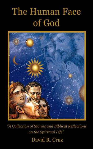 Cover of the book The Human Face of God by Stephen Michael Newby