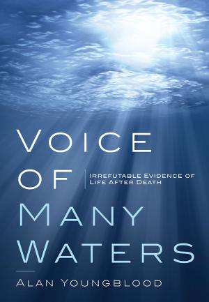 Book cover of Voice of Many Waters