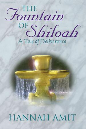 Cover of the book The Fountain of Shiloah by Brian Wangler
