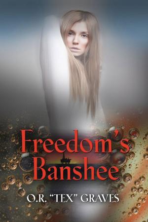 Cover of the book Freedom's Banshee by Valdemar Malin