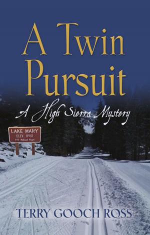 Book cover of A Twin Pursuit: A High Sierra Mystery